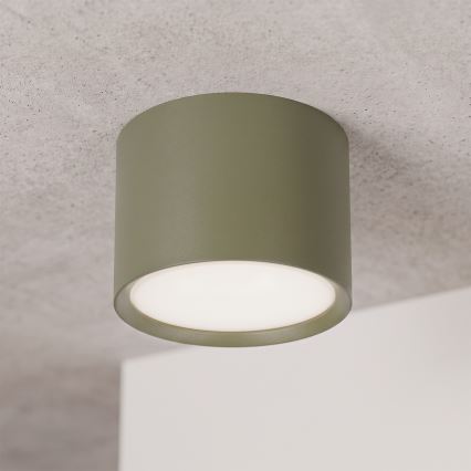 BRILAGI - Oprawa punktowa SMOOTH 1xGX53/15W/230V 60x82 mm ciemnozielona