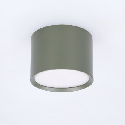 BRILAGI - Oprawa punktowa SMOOTH 1xGX53/15W/230V 60x82 mm ciemnozielona