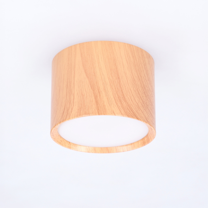 BRILAGI - Oprawa punktowa SMOOTH 1xGX53/15W/230V 60x82 mm dekor dębu