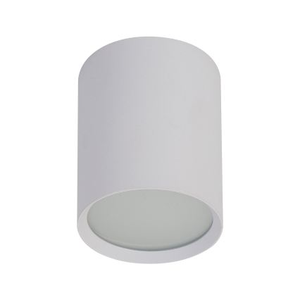 BRILAGI - Oprawa punktowa SMOOTH LONG 1xGX53/15W/230V 100x82 mm biała