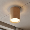 BRILAGI - Oprawa punktowa SMOOTH LONG 1xGX53/15W/230V 100x82 mm dekor dębu