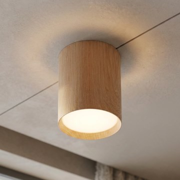 BRILAGI - Oprawa punktowa SMOOTH LONG 1xGX53/15W/230V 100x82 mm dekor dębu