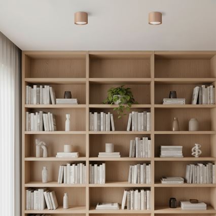 Brilagi - Oprawa punktowa STRIPY 1xGX53/15W/230V beżowa