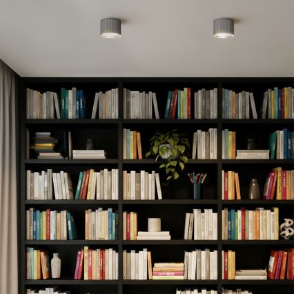 Brilagi - Oprawa punktowa STRIPY 1xGX53/15W/230V srebrna