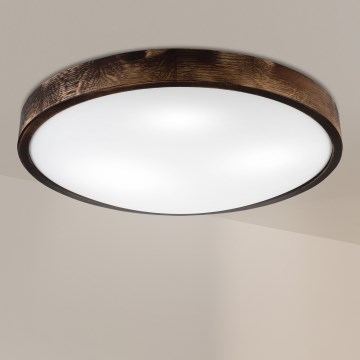 Brilagi - Oprawa sufitowa CARVALHO SLIM SMOKEY 3xE27/60W/230V dąb śr. 47,5 cm