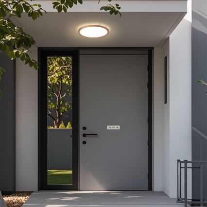 Brilagi - LED łazienkowa oprawa sufitowa ULTRA SLIM LED/12W/230V śr. 22,5 cm różowe złoto IP54