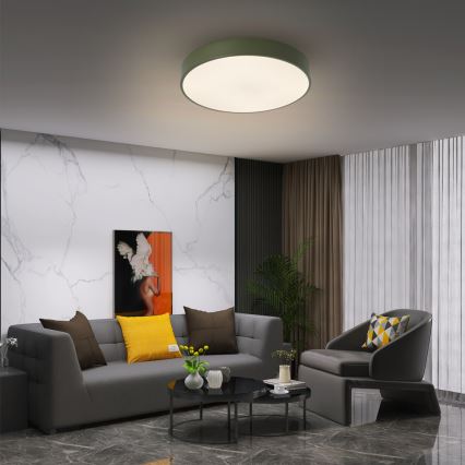 Brilagi - LED oprawa sufitowa POOL LED/48W/230V 3000/4000/6000K Ø 40 cm zielona