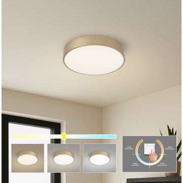 Brilagi - Oprawa sufitowa LED POOL LED/36W/230V 3000/4000/6000K Ø 30 cm złota