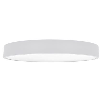 Brilagi - Oprawa sufitowa LED POOL LED/60W/230V 3000/4000/6000K 50 cm biała