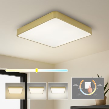 Brilagi - Oprawa sufitowa LED POOL SQUARE LED/36W/230V 3000/4000/6000K 40x40 cm złota