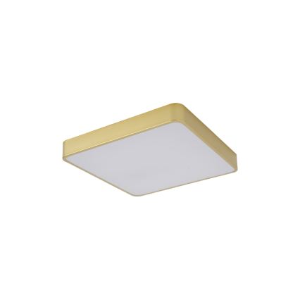 BRILAGI - Oprawa sufitowa LED POOL SQUARE LED/36W/230V 3000/4000/6000K 40x40 cm złota