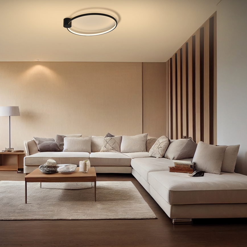 Brilagi - Lampa sufitowa LED RINGO LED/18W/230V, średnica 50 cm