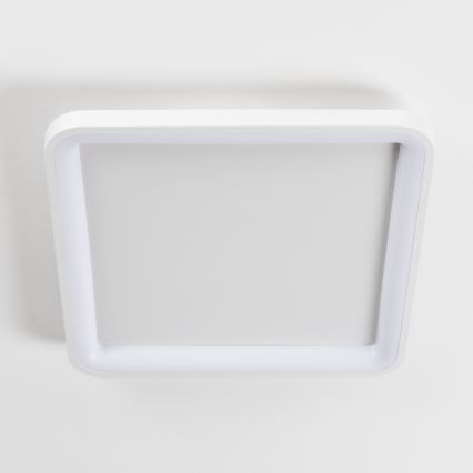 Brilagi - LED ściemnialna oprawa sufitowa FALCON SLIM LED/50W/230V 3000-6500K 50x50 cm biała + pilot zdalnego sterowania