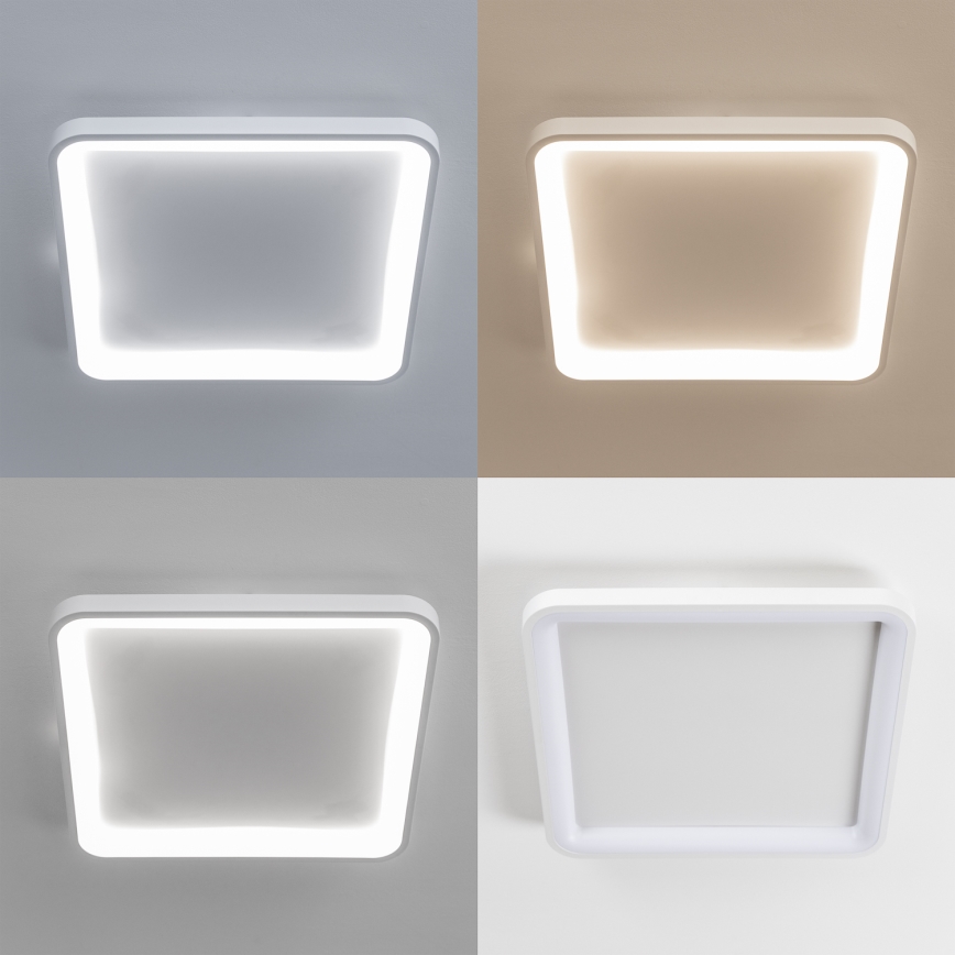 Brilagi - LED ściemnialna oprawa sufitowa FALCON SLIM LED/50W/230V 3000-6500K 50x50 cm biała + pilot zdalnego sterowania