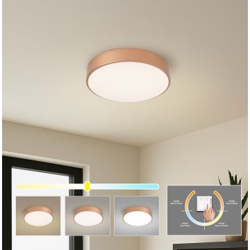 Brilagi - Oprawa sufitowa POOL LED/36W/230V 3000/4000/6000K Ø 30 cm brązowa
