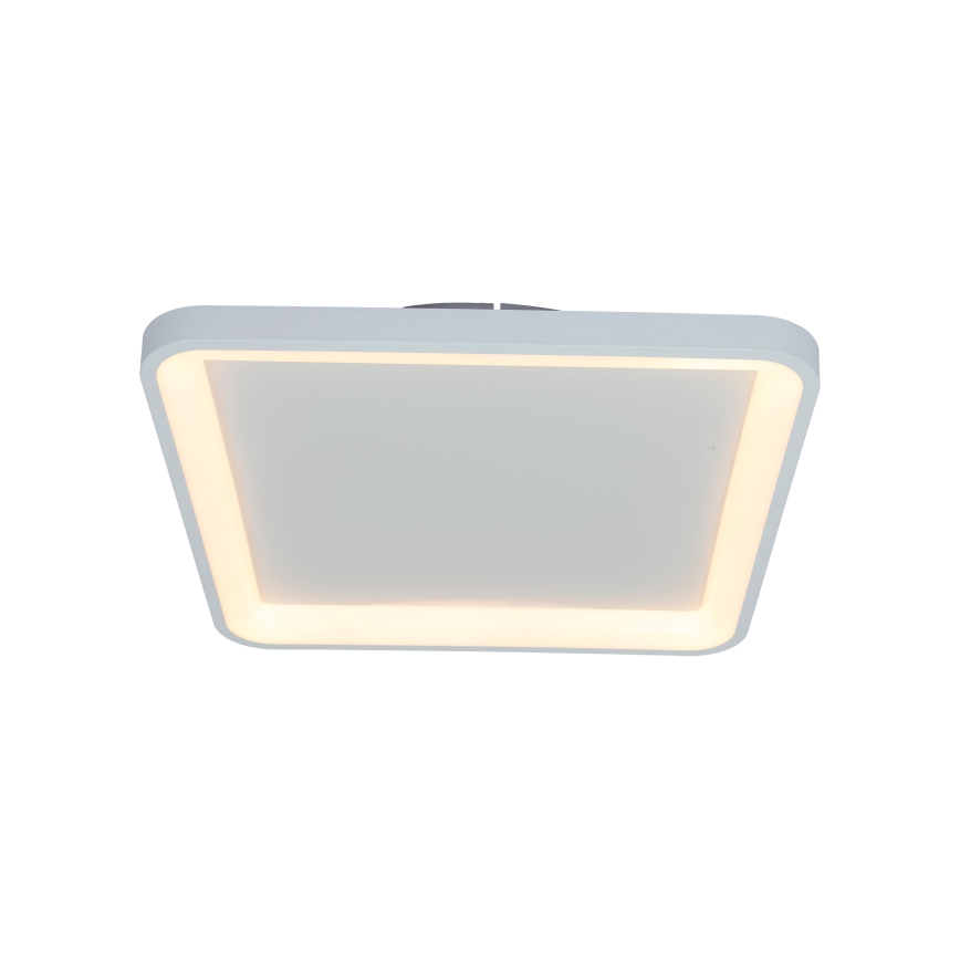 Brilagi - LED ściemnialna lampa sufitowa FALCON SLIM LED/50W/230V 3000-6500K 50x50 cm biała + pilot zdalnego sterowania
