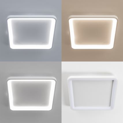 Brilagi - LED ściemnialna lampa sufitowa FALCON SLIM LED/50W/230V 3000-6500K 50x50 cm biała + pilot zdalnego sterowania