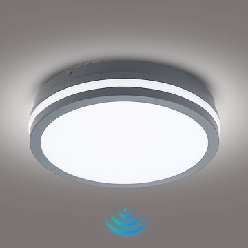 Brilagi - Oprawa zewnętrzna LED z czujnikiem BENE LED/24W/230V, średnica 26 cm, antracyt, IP54