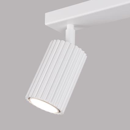 Brilagi - Oświetlenie punktowe CRESTO 2xGU10/10W/230V białe
