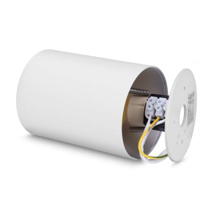 Brilagi - Oświetlenie punktowe TRINE 1xGU10/30W/230V biały/złoty