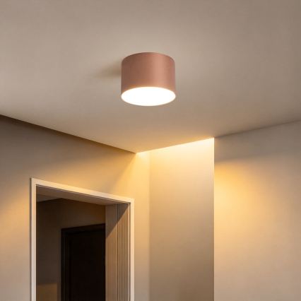 BRILAGI - Lampa sufitowa do łazienki FORIS LED/9W/230V śr. 9 cm brązowa IP44 CRI 90