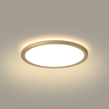 Brilagi - Plafon łazienkowy LED ULTRA SLIM LED/12W/230V Ø 22,5 cm złoty IP54