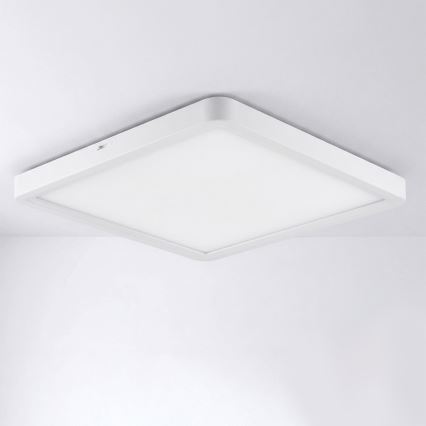 Brilagi - Plafon LED ESTELA SQUARE LED/24W/230V 31x31 cm biały
