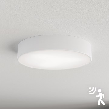 Brilagi - Plafon z czujnikiem CLARE 3xE27/40W/230V śr. 40 cm biały