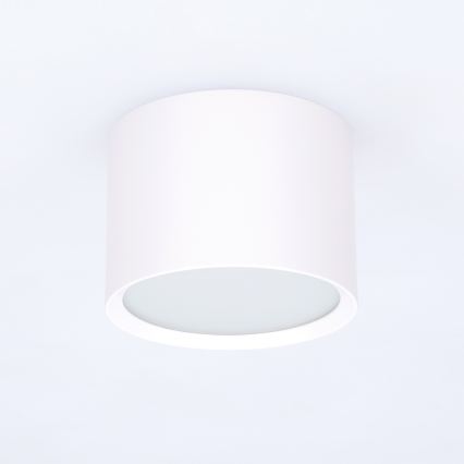 BRILAGI - Punktowa lampa łazienkowa SMOOTH 1xGX53/15W/230V 60x82 mm biała IP54