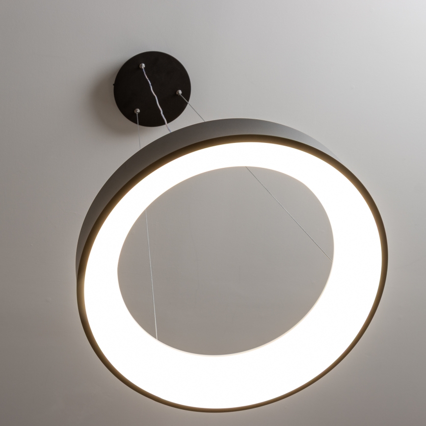 Brilagi - Regulowany żyrandol LED na linkę FALCON LED/80W/230V 3000-6500K śr. 60 cm czarny + pilot do zdalnego sterowania
