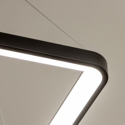 Brilagi - Żyrandol LED ściemnialny na linkach FALCON SLIM LED/50W/230V 3000-6500K 50x50 cm czarny + pilot zdalnego sterowania