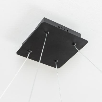 Brilagi - Żyrandol LED ściemnialny na linkach FALCON SLIM LED/50W/230V 3000-6500K 50x50 cm czarny + pilot zdalnego sterowania