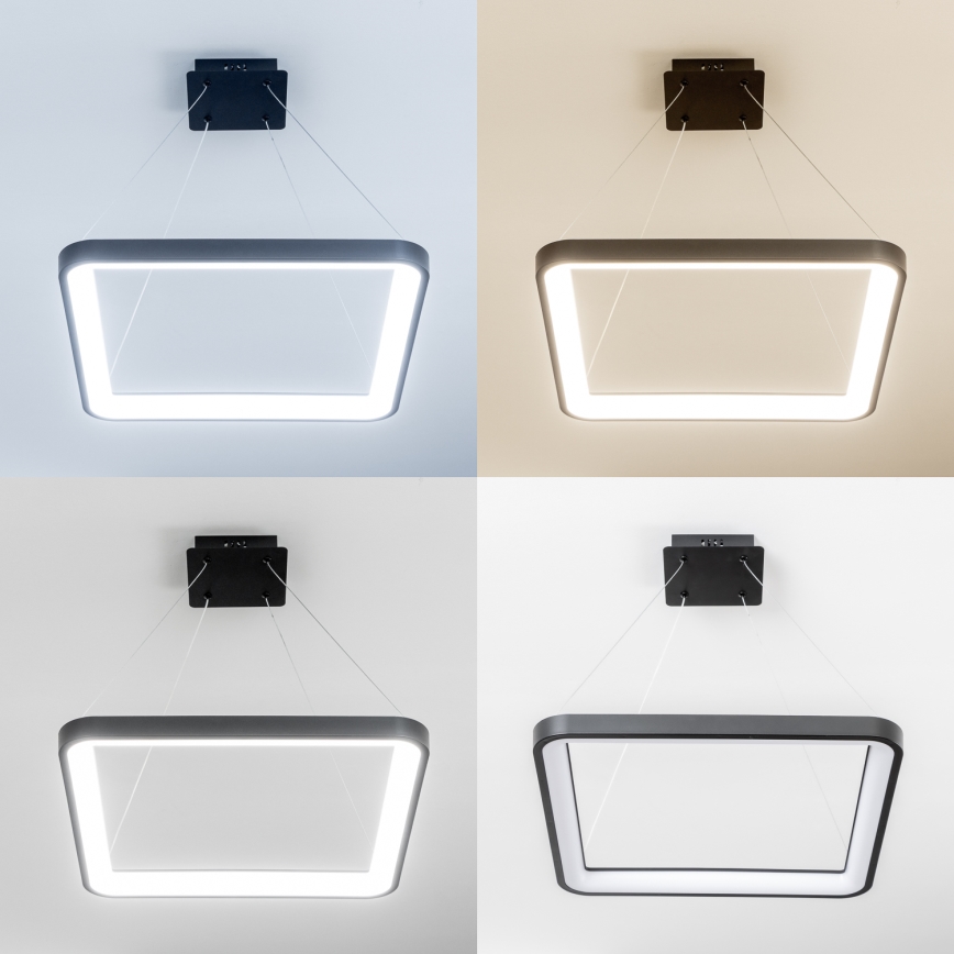 Brilagi - Żyrandol LED ściemnialny na linkach FALCON SLIM LED/50W/230V 3000-6500K 50x50 cm czarny + pilot zdalnego sterowania