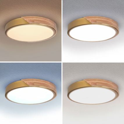 BRILAGI - ściemnialna lampa sufitowa LED PILANA LED/48W/230V 3000-6500K dąb/złoty śr. 40 cm + pilot zdalnego sterowania