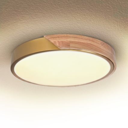 BRILAGI - ściemnialna lampa sufitowa LED PILANA LED/48W/230V 3000-6500K dąb/złoty śr. 40 cm + pilot zdalnego sterowania