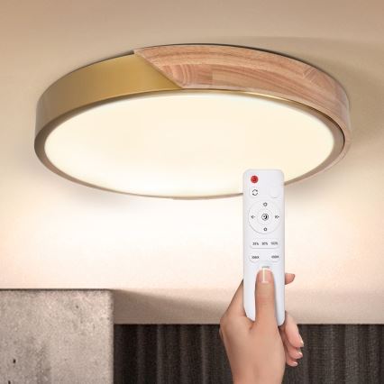 BRILAGI - ściemnialna lampa sufitowa LED PILANA LED/48W/230V 3000-6500K dąb/złoty śr. 40 cm + pilot zdalnego sterowania