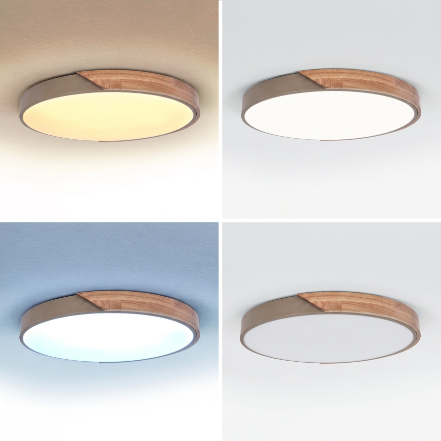 BRILAGI - LED ściemnialna lampa sufitowa PILANA LED/60W/230V 3000-6500K dąb/beżowy śr. 60 cm + zdalne sterowanie