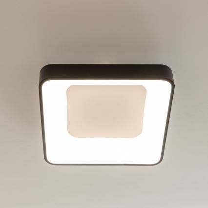 Brilagi - LED ściemnialna oprawa sufitowa FALCON II LED/80W/230V 3000-6500K 40x40 cm czarna + pilot zdalnego sterowania