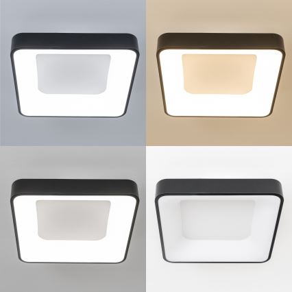 Brilagi - LED ściemnialna oprawa sufitowa FALCON II LED/80W/230V 3000-6500K 40x40 cm czarna + pilot zdalnego sterowania