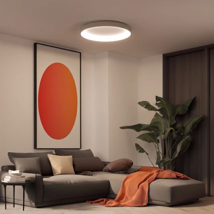 BRILAGI - LED ściemnialna oprawa sufitowa FALCON II LED/108W/230V 3000-6500K śr. 80 cm biały/beżowy + pilot zdalnego sterowania