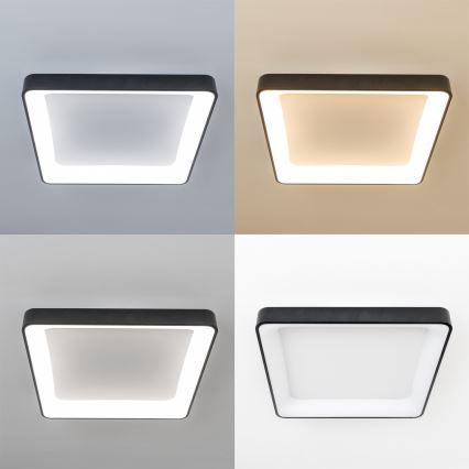 Brilagi - Ściemnialna lampa sufitowa LED FALCON II LED/125W/230V 3000-6500K 60x60 cm czarna + pilot zdalnego sterowania