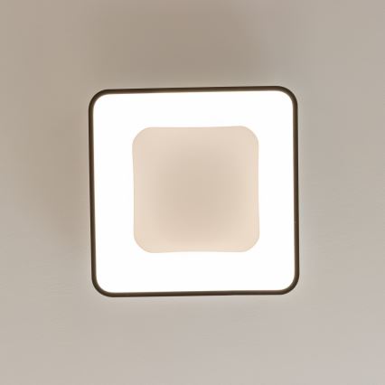 Brilagi - LED ściemnialna oprawa sufitowa FALCON II LED/80W/230V 3000-6500K 40x40 cm czarna + pilot zdalnego sterowania