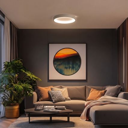BRILAGI - LED Ściemnialna lampa sufitowa FALCON SLIM LED/42W/230V 3000-6500K średnica 50 cm biała/beżowa + pilot zdalnego sterowania
