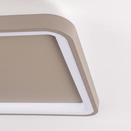 BRILAGI - Ściemnialna oprawa sufitowa LED FALCON SLIM LED/50W/230V 3000-6500K 50x50 cm beżowa + pilot zdalnego sterowania