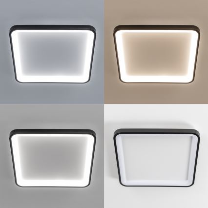 Brilagi - ściemnialna oprawa sufitowa LED FALCON SLIM LED/50W/230V 3000-6500K 50x50 cm czarna + pilot zdalnego sterowania