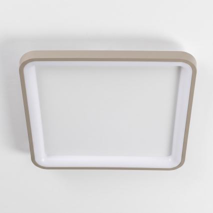 BRILAGI - LED ściemnialna oprawa sufitowa FALCON SLIM LED/50W/230V 3000-6500K 50x50 cm biała/beżowa + pilot zdalnego sterowania