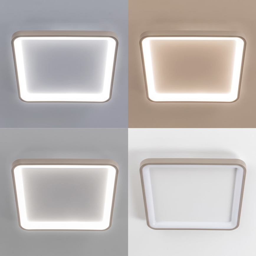 BRILAGI - LED ściemnialna oprawa sufitowa FALCON SLIM LED/50W/230V 3000-6500K 50x50 cm biała/beżowa + pilot zdalnego sterowania