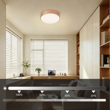 BRILAGI - LED ściemnialna lampa sufitowa POOL LED/24W/230V 3000-6000K śr. 20 cm miedziana + pilot zdalnego sterowania