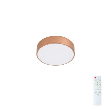 BRILAGI - LED ściemnialna lampa sufitowa POOL LED/24W/230V 3000-6000K śr. 20 cm miedziana + pilot zdalnego sterowania