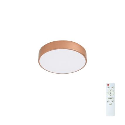 Brilagi - LED ściemnialna oprawa sufitowa POOL LED/36W/230V 3000-6000K śr. 30 cm brązowa + pilot
